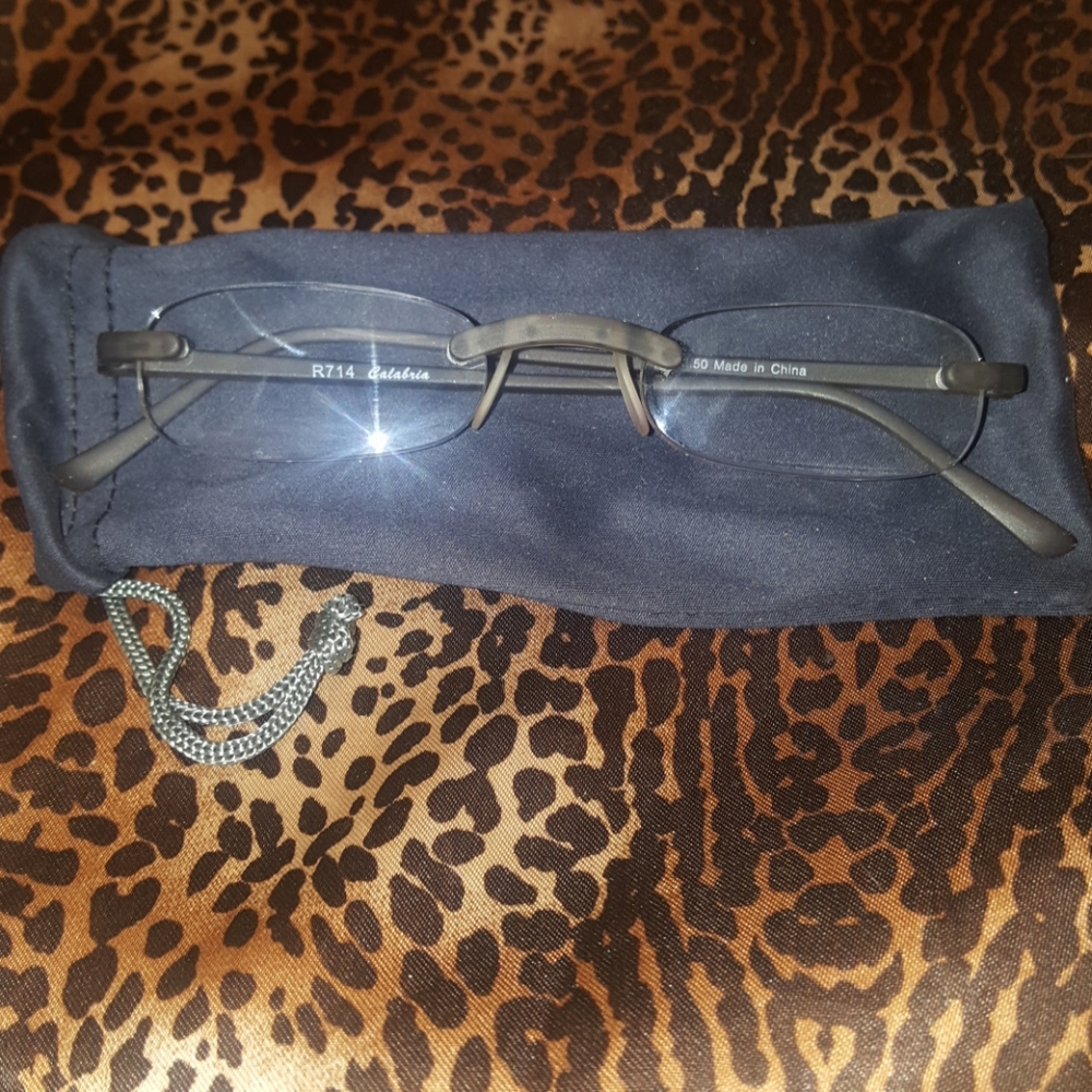 +3.50 Taupe Reading Glasses W/Case